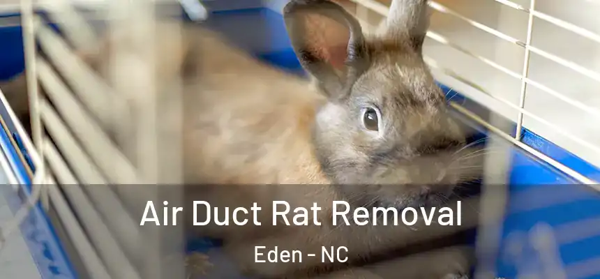  Air Duct Rat Removal Eden - NC