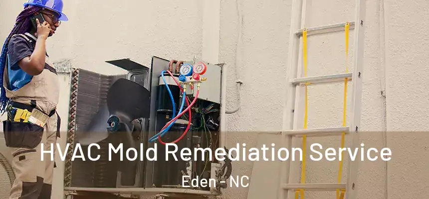  HVAC Mold Remediation Service Eden - NC