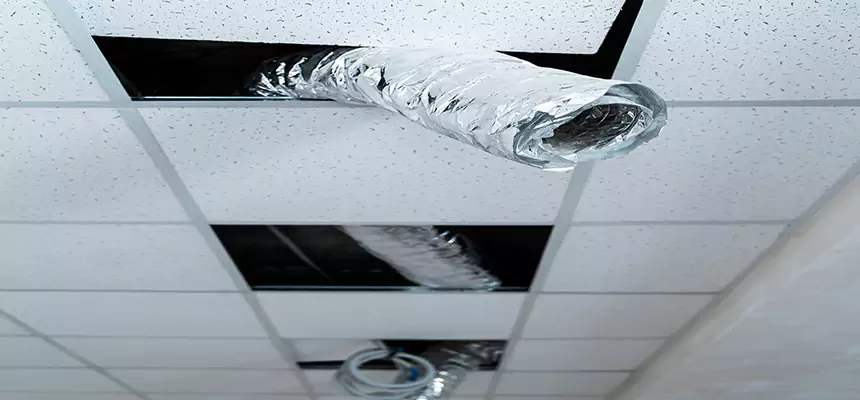 Our Air Duct Pet Hair Removal Services in Eden, NC