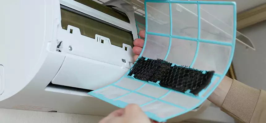 Gentle Ductwork Odor-Control Pet Dander Duct Cleaning in Eden, NC