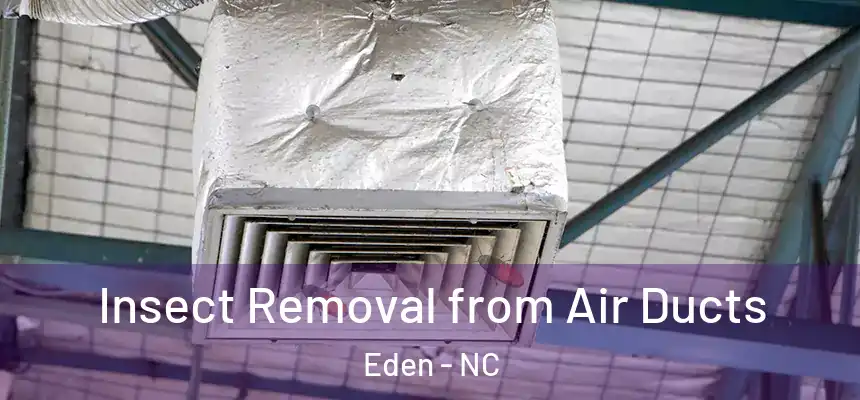 Insect Removal from Air Ducts Eden - NC