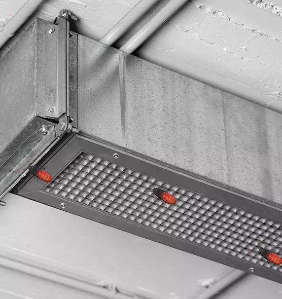 Affordable Insect Removal from Air Ducts in Eden, NC