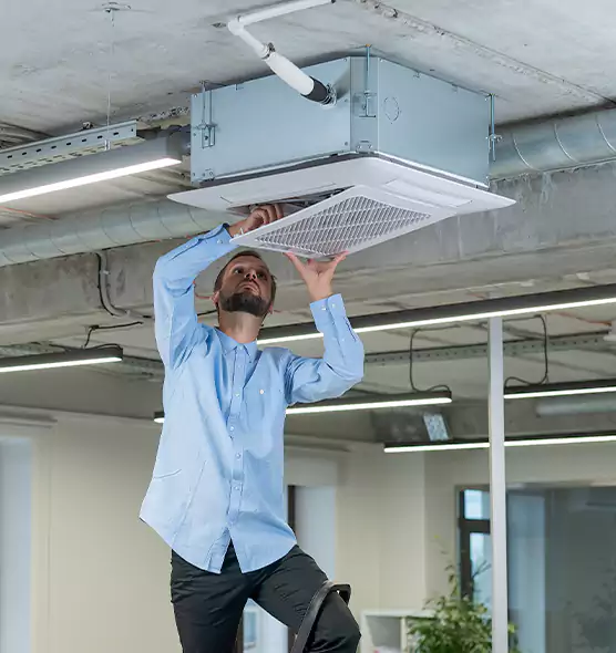 Advanced Rodent Droppings In Vents in Eden, NC