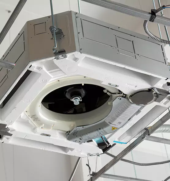 Professional Roof Vent Lint Removal Eden, NC