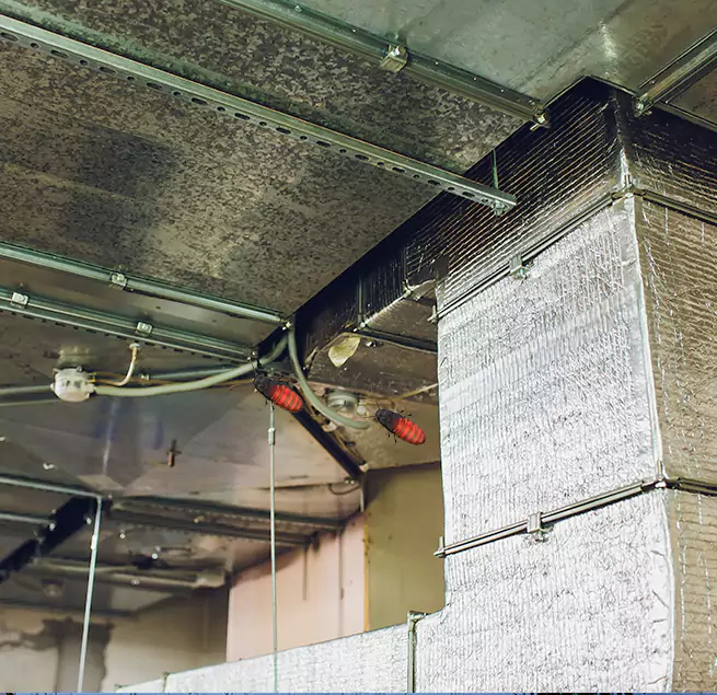 Why Homeowners & Businesses Trust Us in Eden, NC?