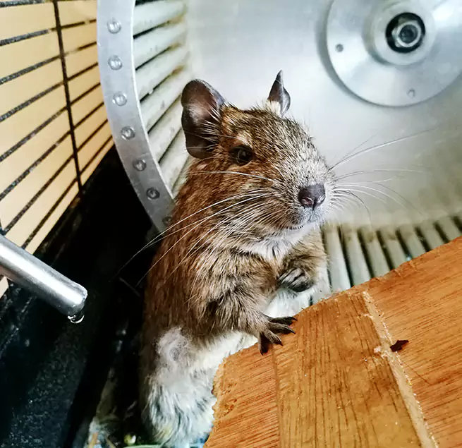 Why Homeowners & Businesses Trust Us Eden, NC